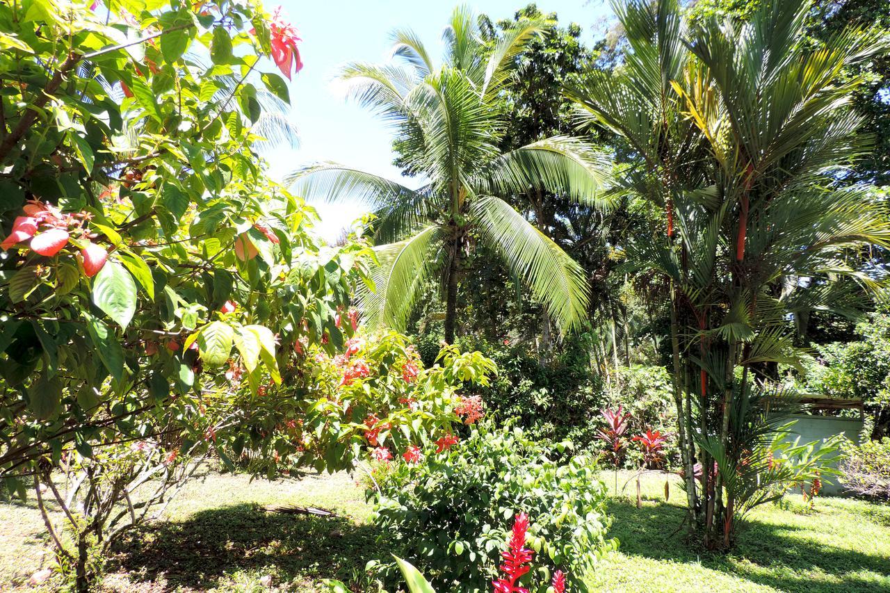 Rosa Lodge Cahuita Zewnętrze zdjęcie