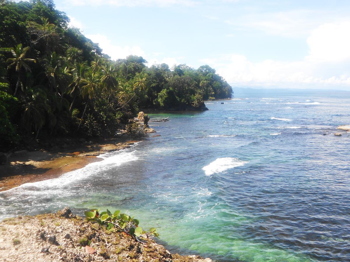 Rosa Lodge Cahuita Zewnętrze zdjęcie