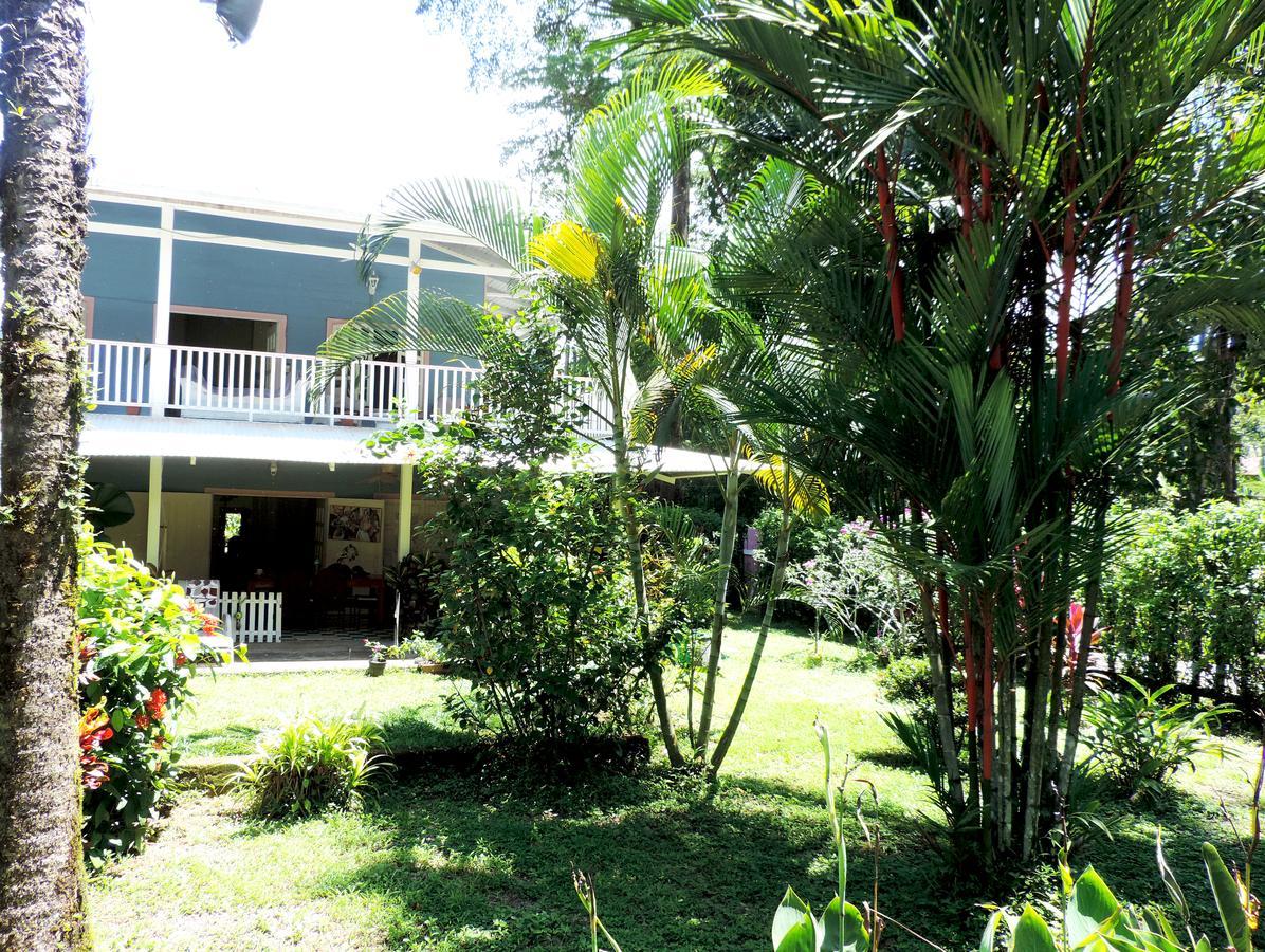 Rosa Lodge Cahuita Zewnętrze zdjęcie