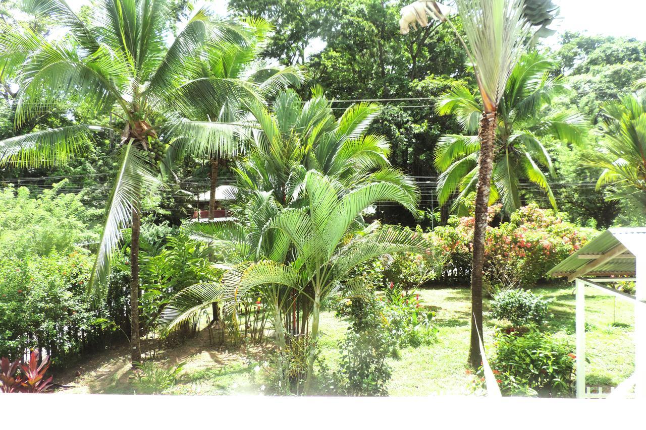 Rosa Lodge Cahuita Zewnętrze zdjęcie