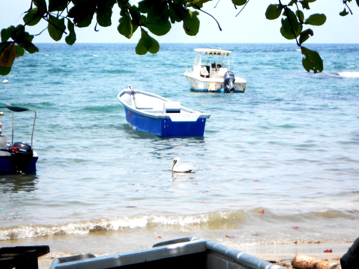 Rosa Lodge Cahuita Zewnętrze zdjęcie